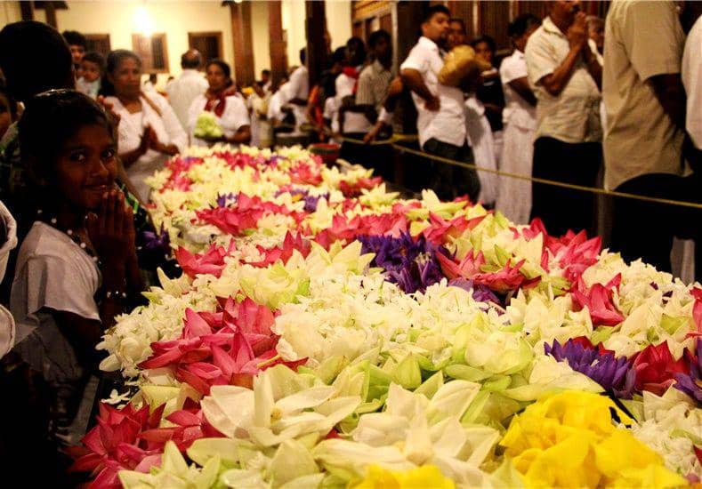 indiaodysseytours.com