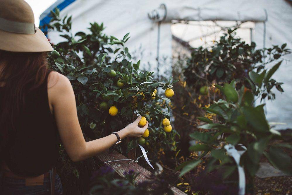 Unsplash/brookecagle