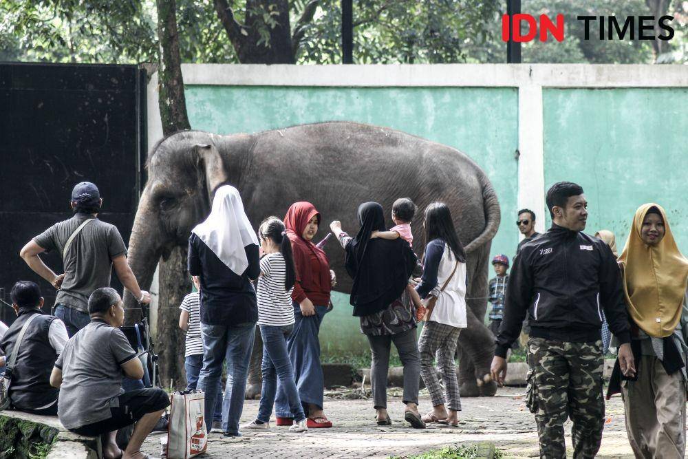 IDN Times/Galih Persiana