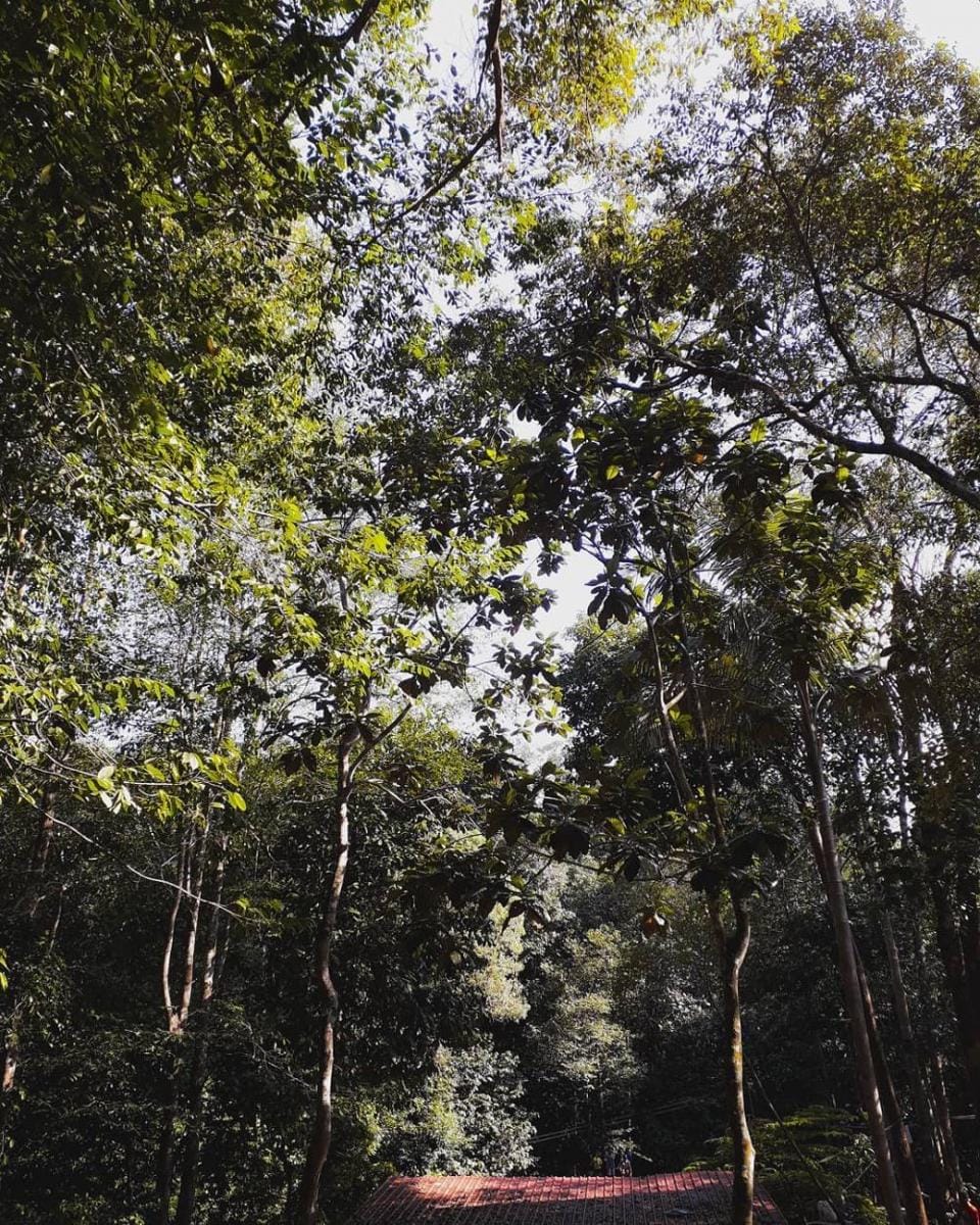 instagram.com/nurul_chisez