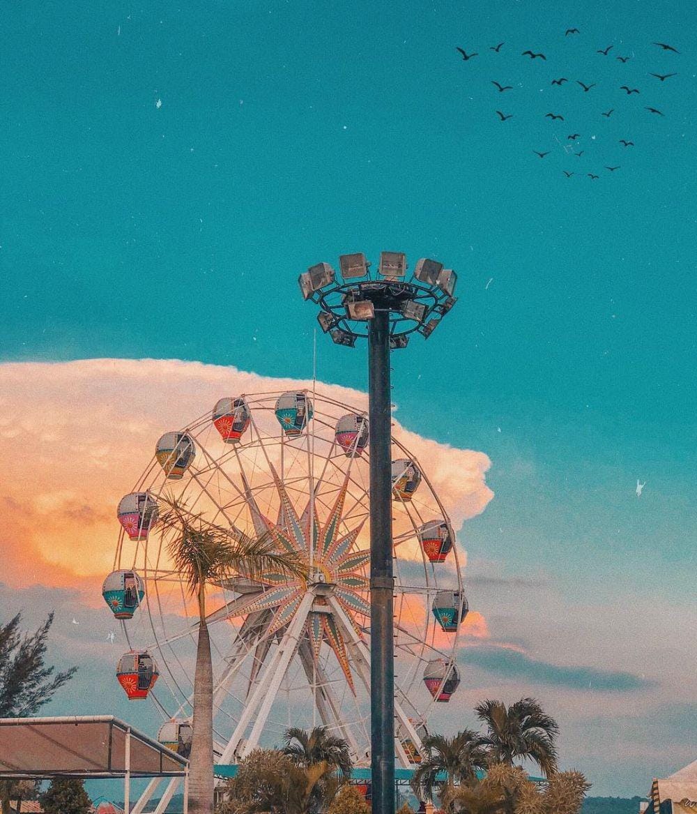 instagram.com/nathanhlw