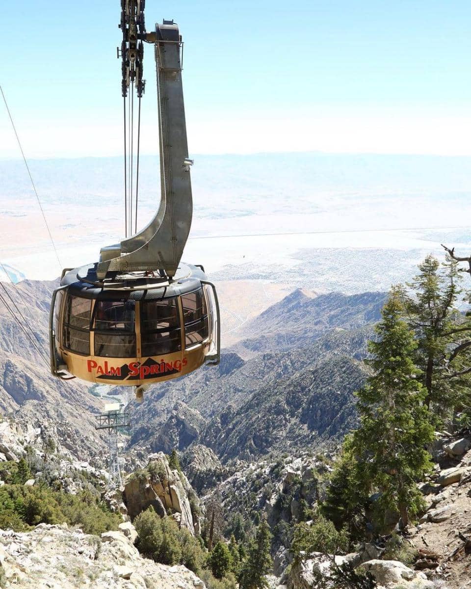 Instagram.com/visitpalmsprings