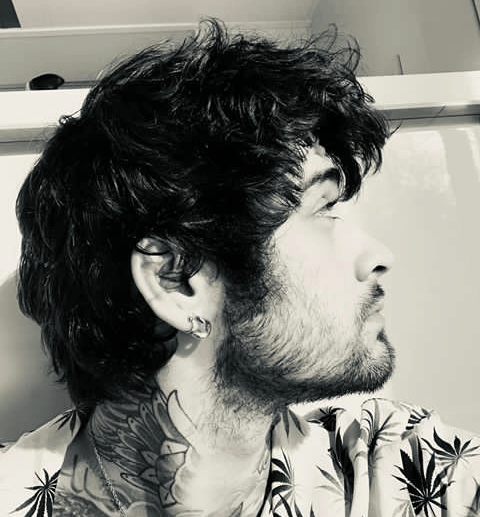 Instagram.com/zayn