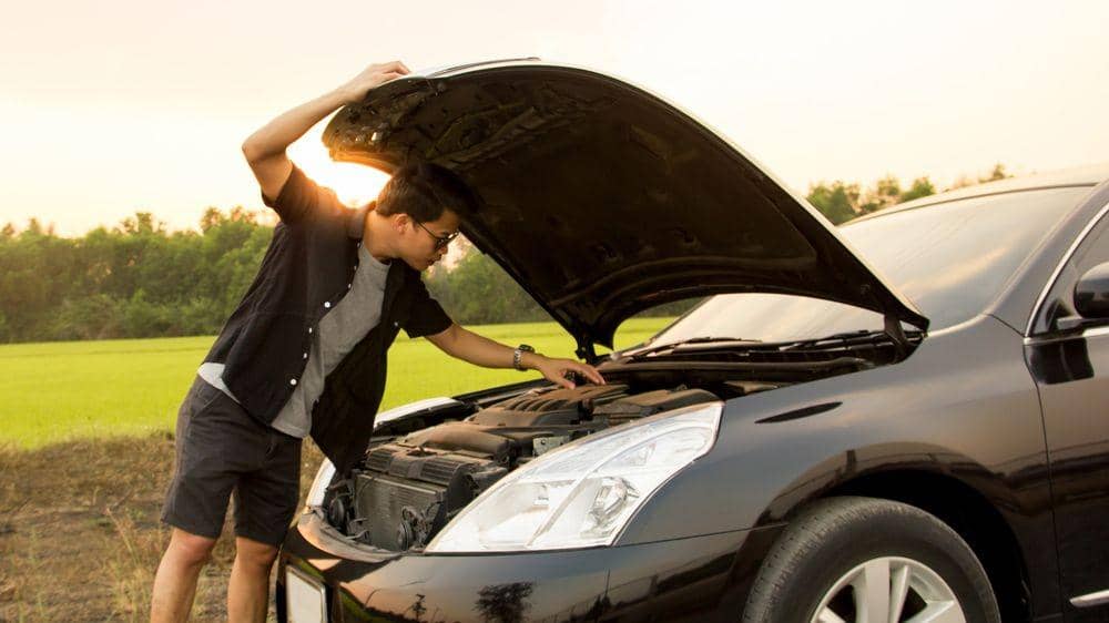 Shutterstock/Siriranya Studio