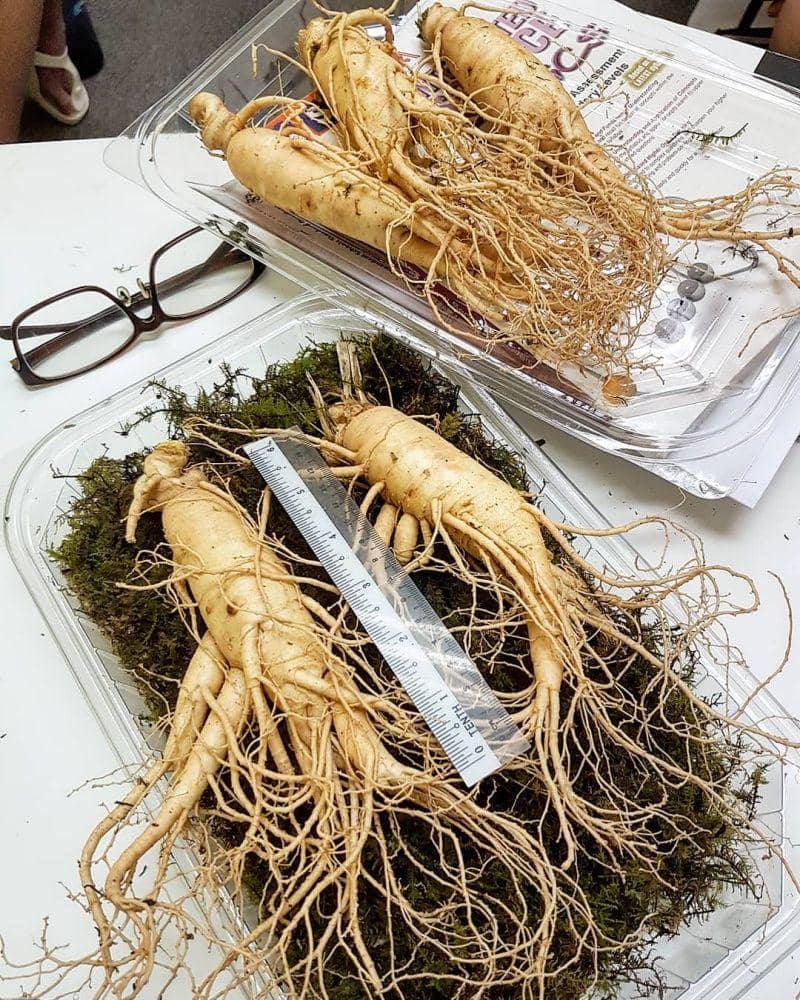 instagram.com/alan_travellingfoodies