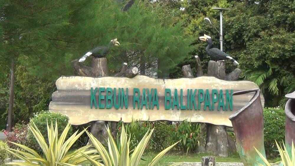 IDN Times/ Mela Hapsari