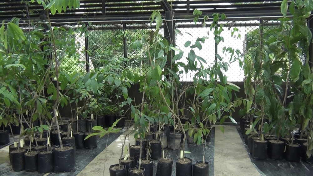 IDN Times/ Mela Hapsari