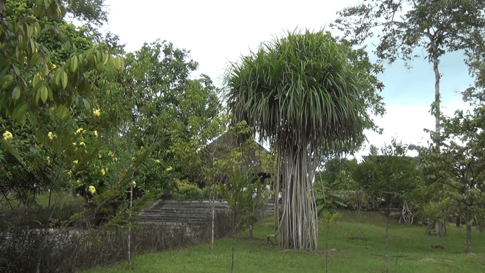 IDN Times/ Mela Hapsari