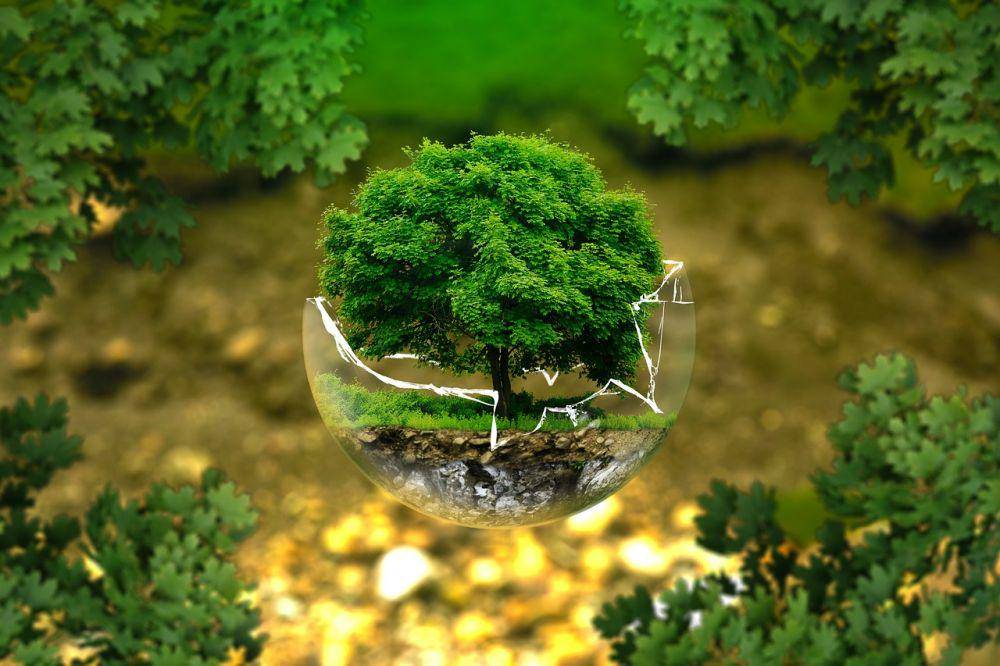 Pixabay.com/ejaugsburg