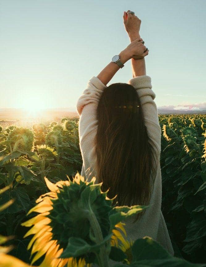 unsplash.com/Rowan Chestnut