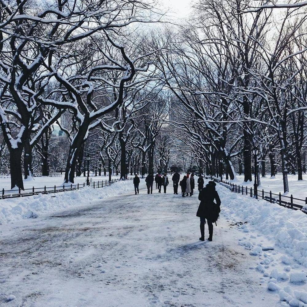 instagram.com/junarorimpandeyofficial