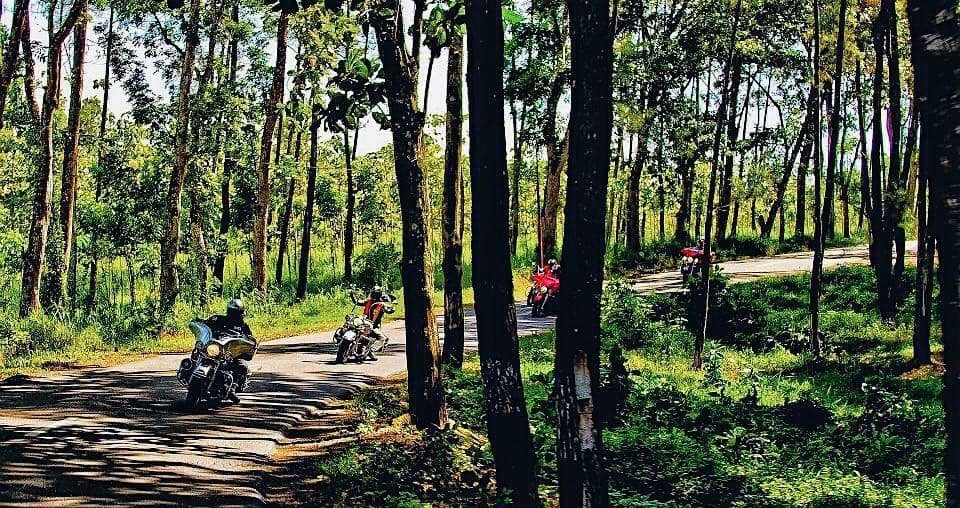 instagram.com/junarorimpandeyofficial