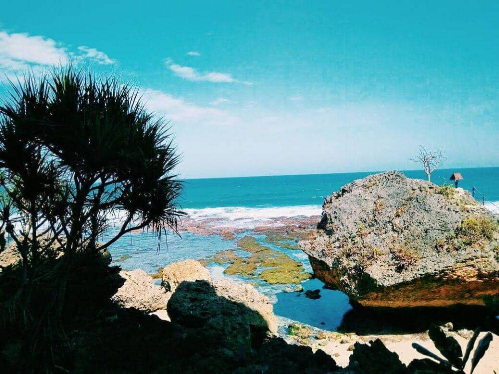 instagram.com/rohmamly_