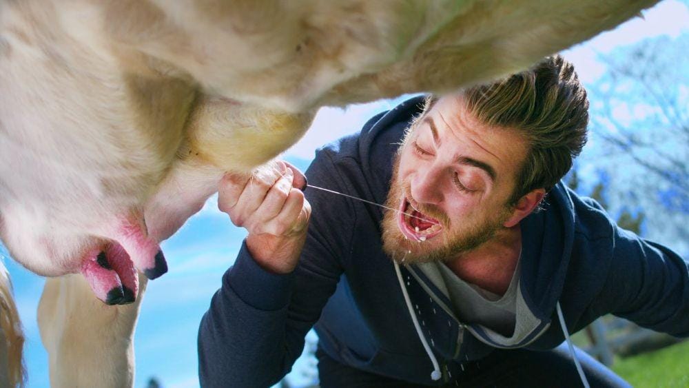 theodysseyonline.com