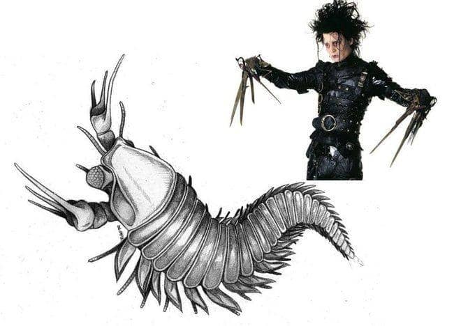 images.realclear.com