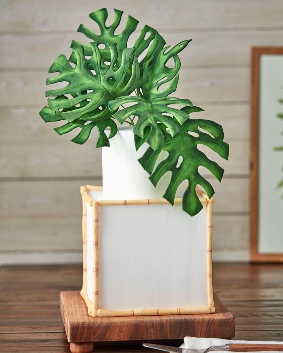 instagram.com/wiltoncakes