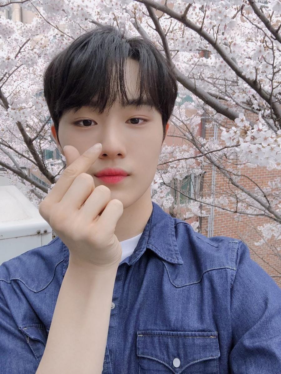 twitter.com/OFFICIAL_C9BOYZ