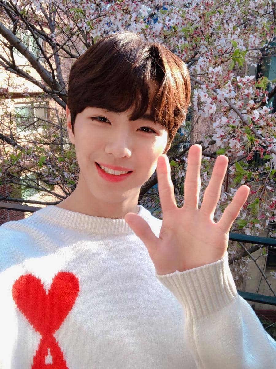 twitter.com/OFFICIAL_C9BOYZ