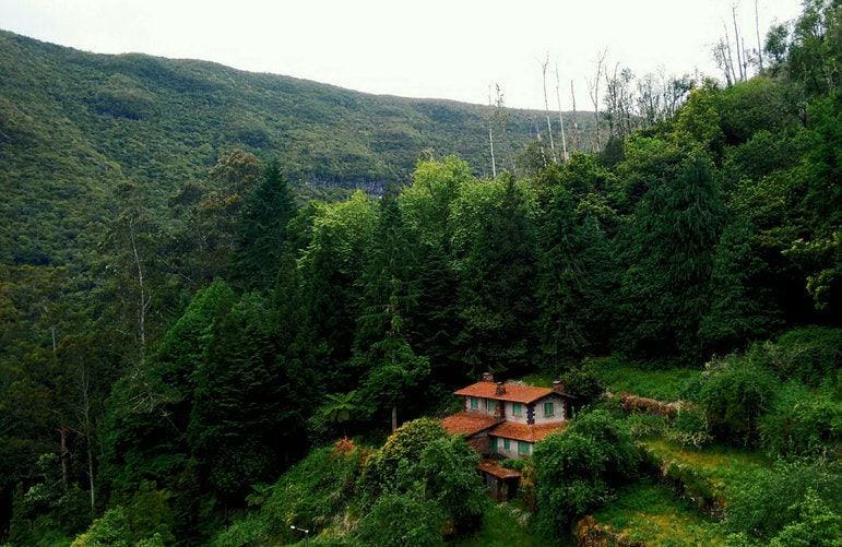 unsplash.com/tiagoaguiar