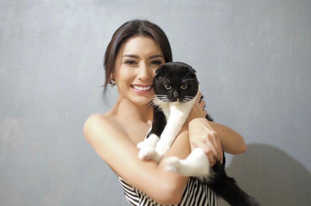 instagram.com/chongfen.thecat