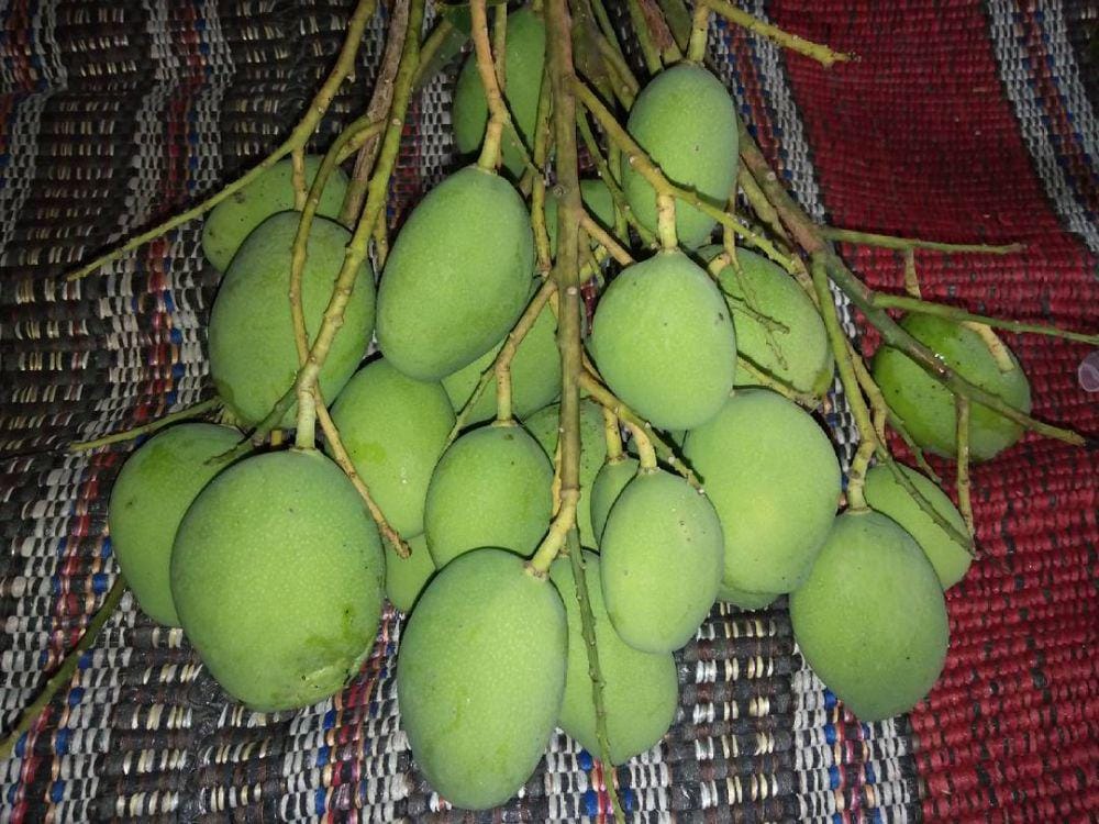 Instagram.com/ rahmah_st04