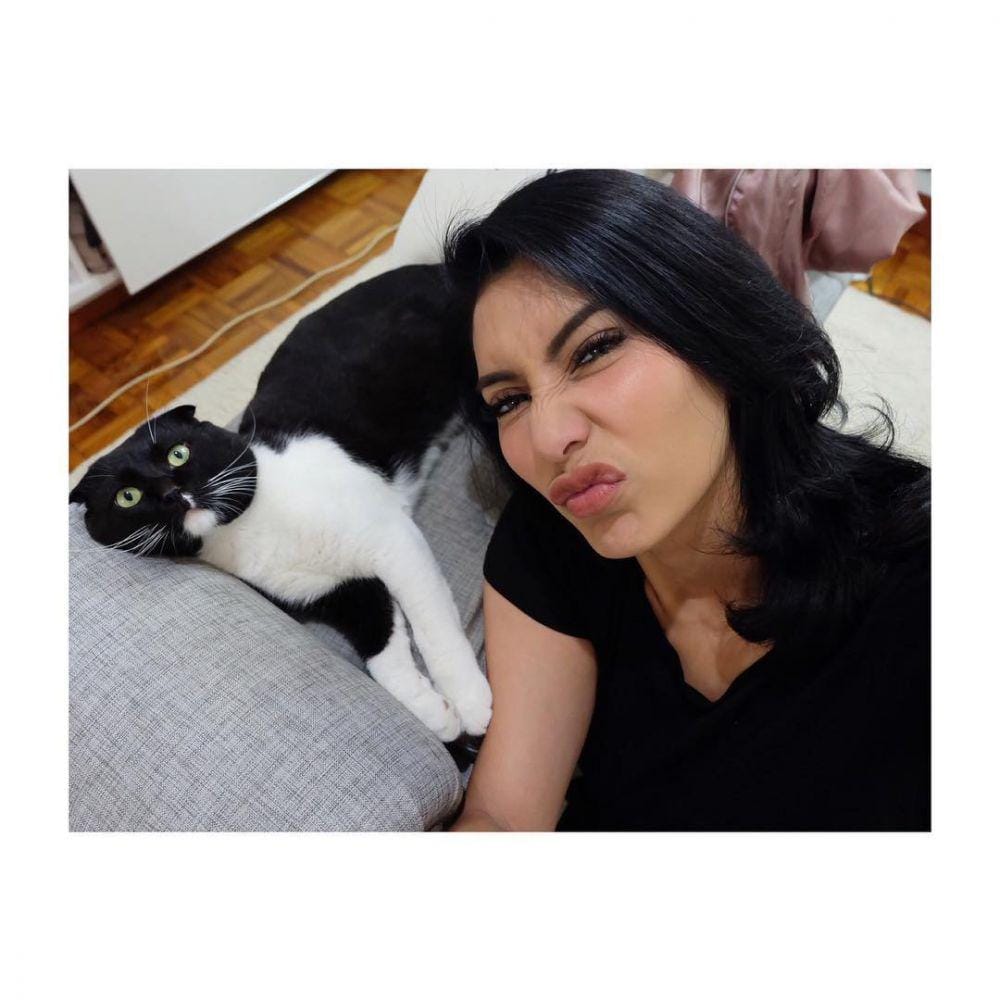 instagram.com/chongfen.thecat