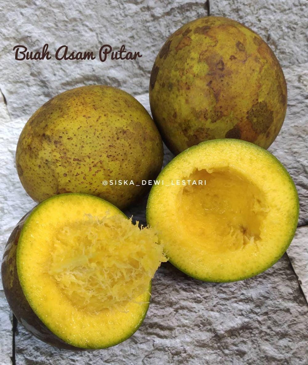 Instagram.com/ siska_dewi_lestari