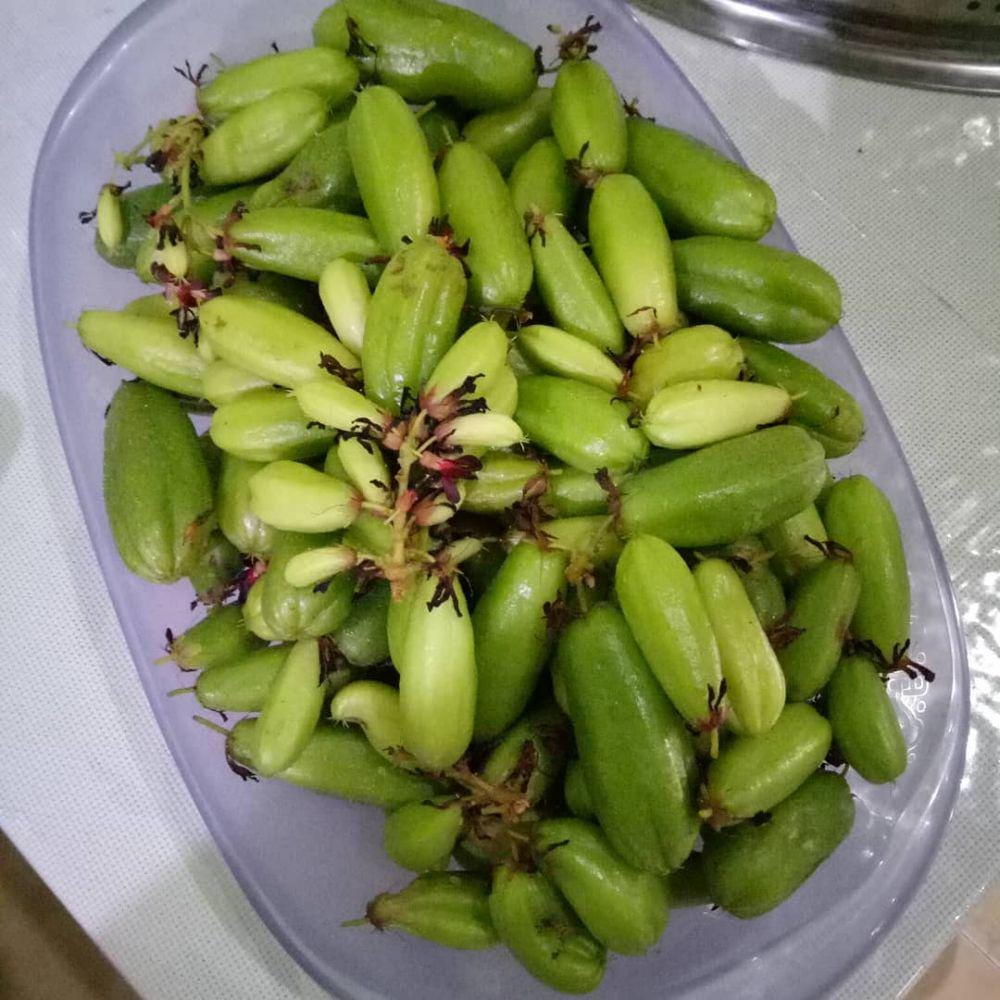 Instagram.com/ astriemelie