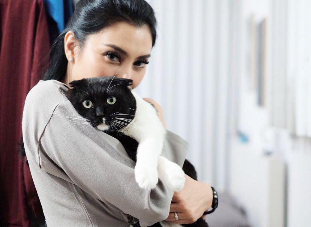 instagram.com/chongfen.thecat