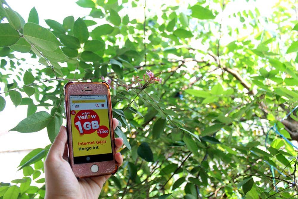 dok.IDNTimes/Tri Wahyuni