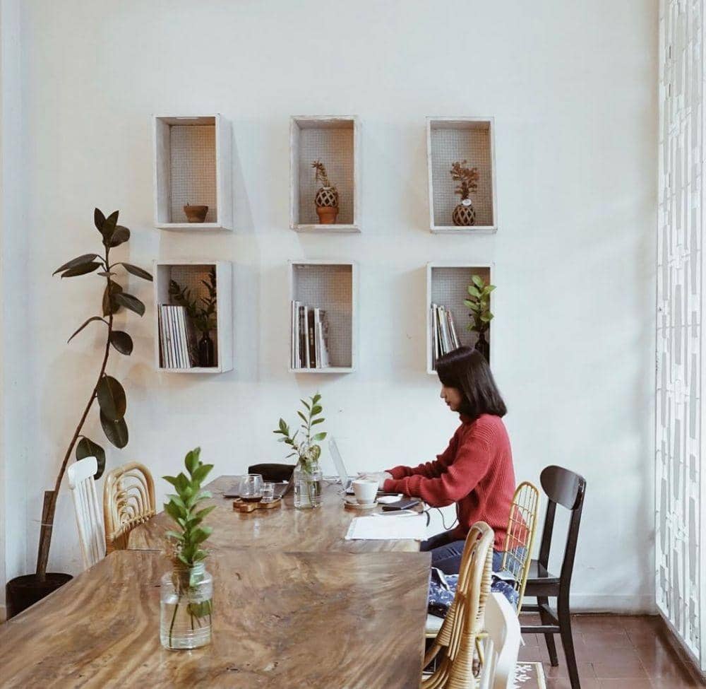 instagram.com/faniez