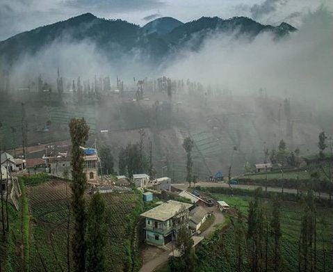 instagram.com/instanusantaramalang