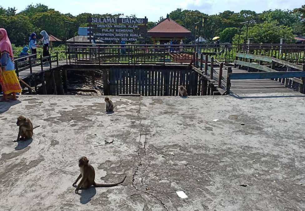 instagram.com/lailafitriani3330