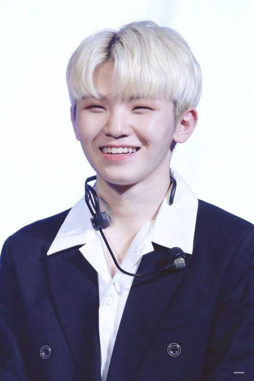 pledis17.com