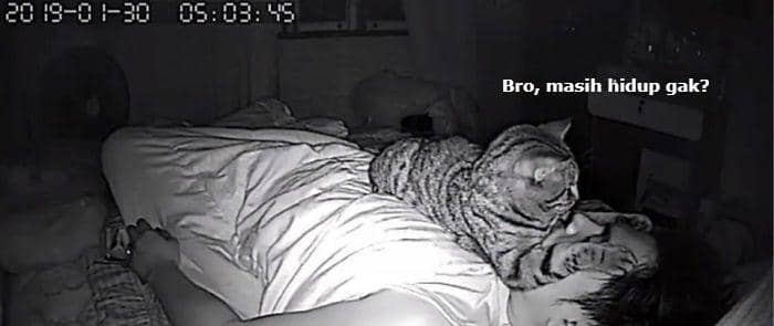 facebook.com/Lomphonten Lomphontan