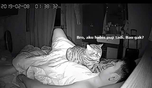 facebook.com/Lomphonten Lomphontan