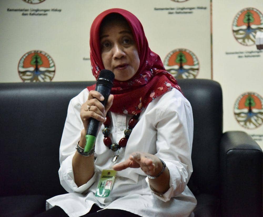 IDN Times/Kementerian LHK