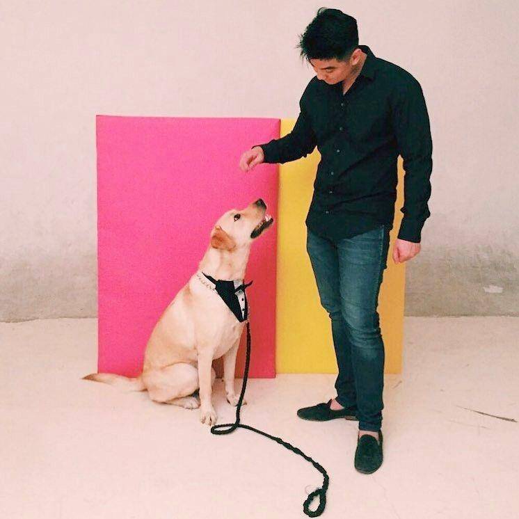 Instagram.com/arnoldpo