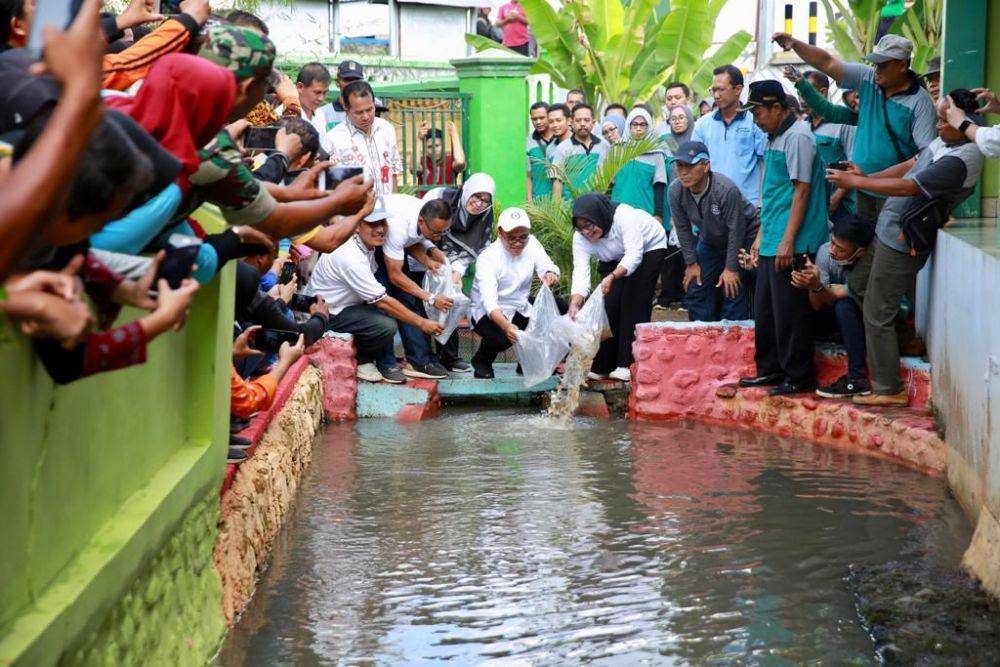 IDN Times/Istimewa