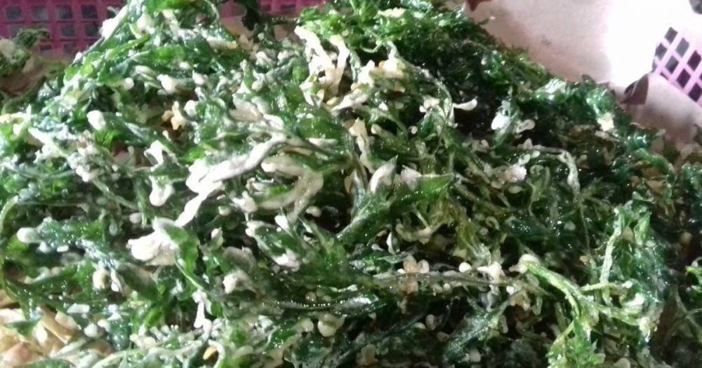 freemakanan.blogspot.com