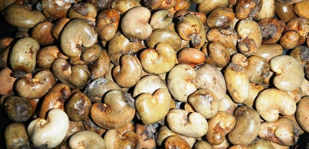 telapakbali.blogspot.com