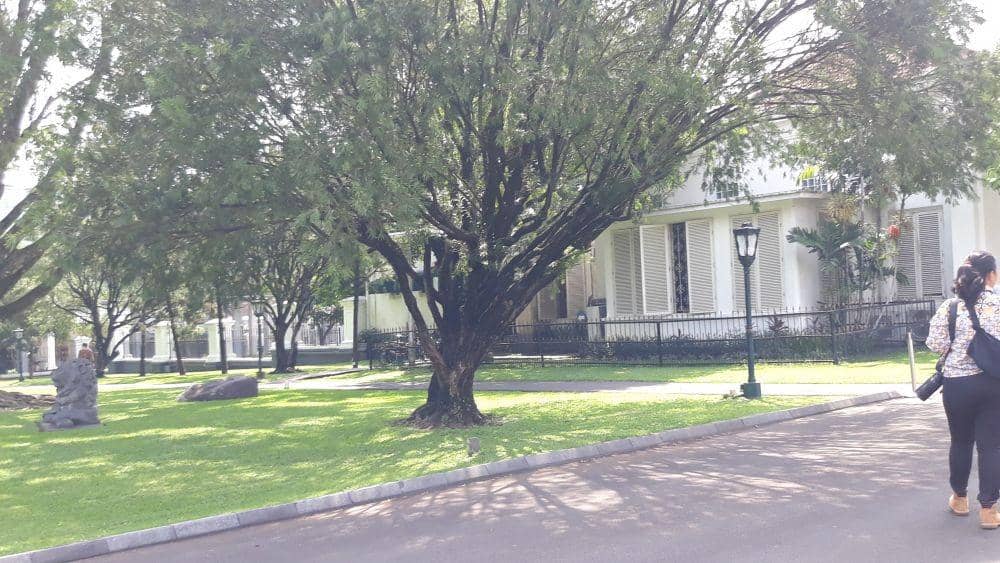 IDN Times/Teatrika Handiko Putri