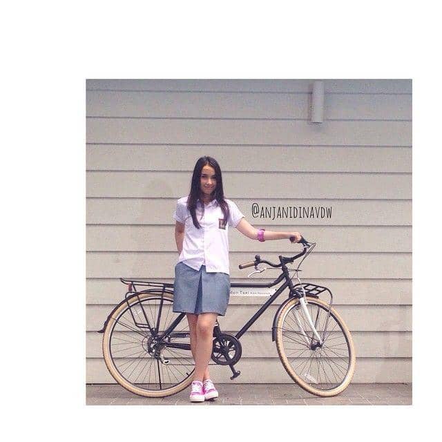 instagram.com/anjanidinavdw