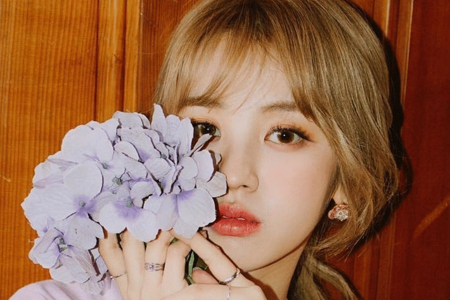 instagram.com/love_nca