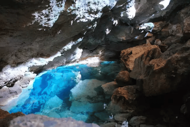 Timesofindia.indiatimes.com