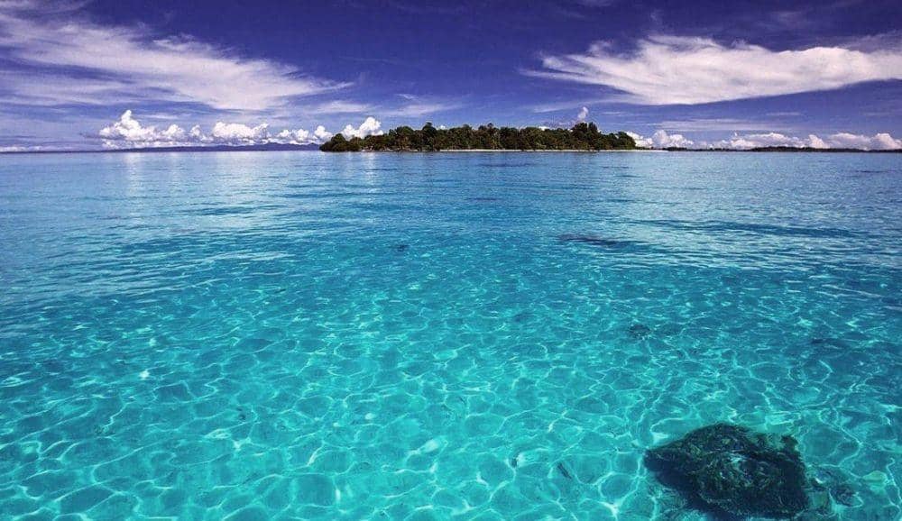 Instagram.com/Indonesiatropic