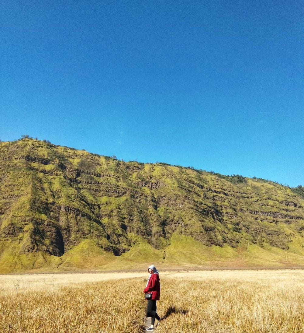 Instagram.com/bashadjlee