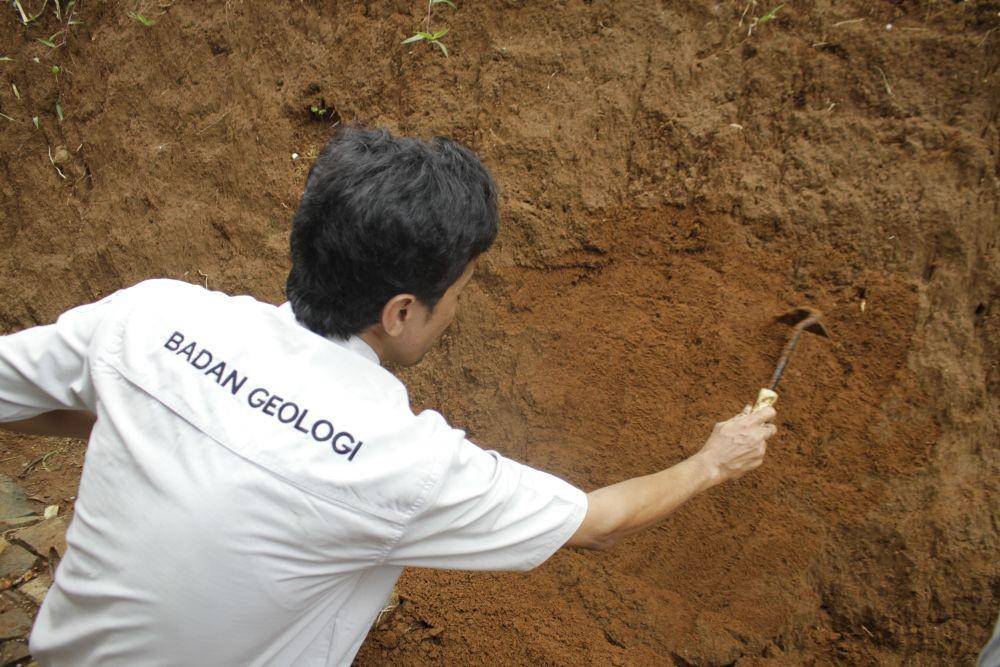 ANTARA FOTO/Budiyanto