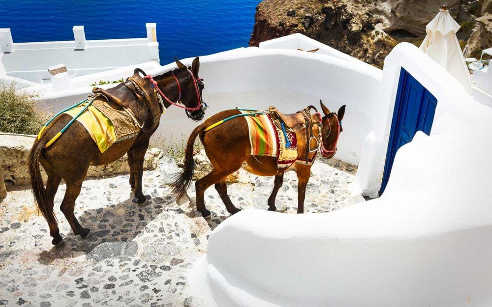 travelandleisure.com