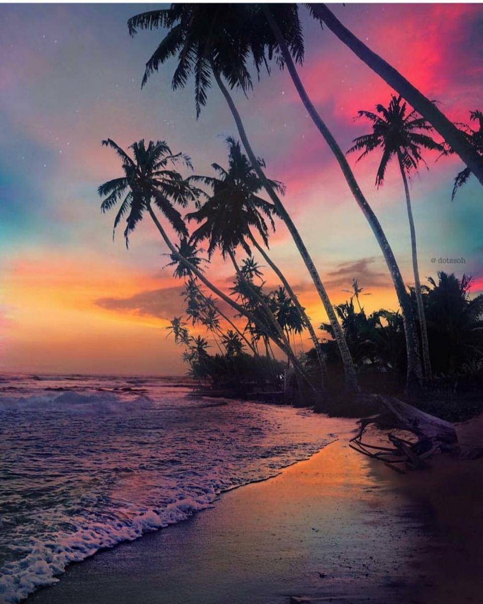 instragam.com/travellingthroughtheworld